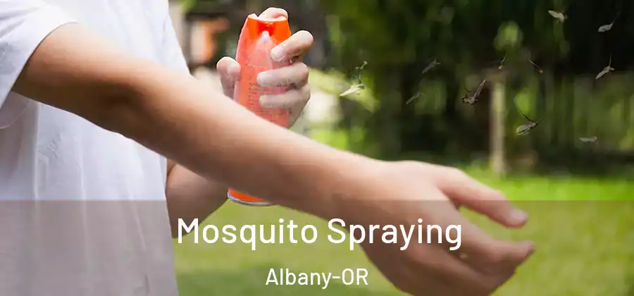  Mosquito Spraying Albany-OR