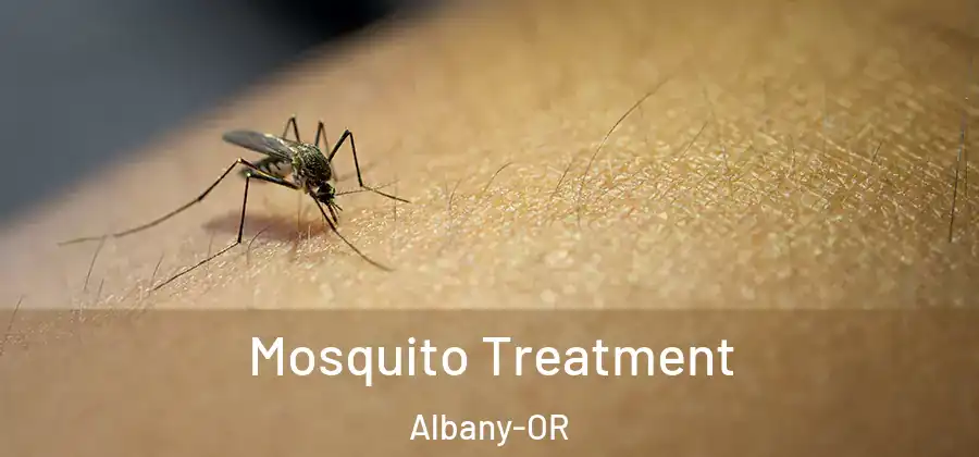  Mosquito Treatment Albany-OR