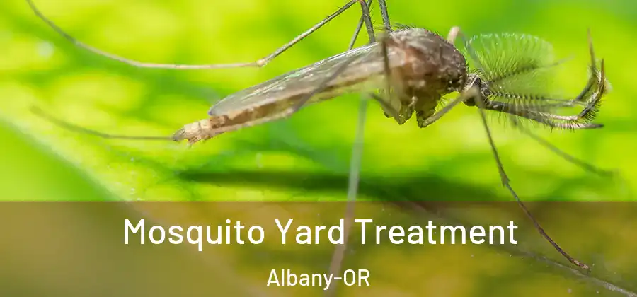  Mosquito Yard Treatment Albany-OR