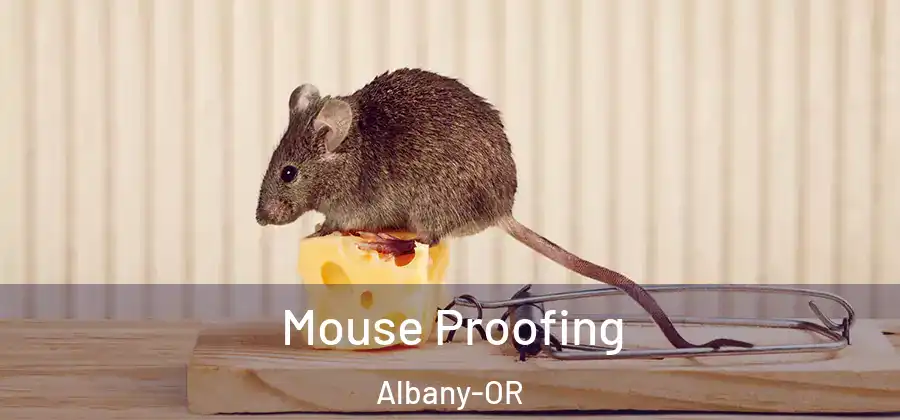 Mouse Proofing Albany-OR
