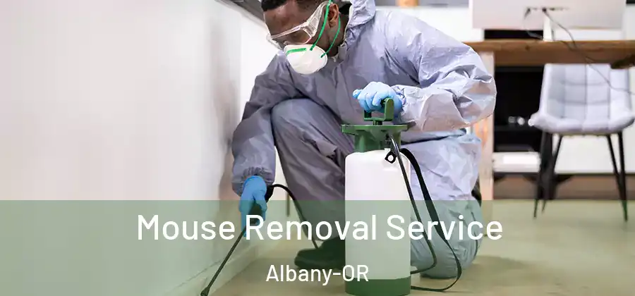  Mouse Removal Service Albany-OR