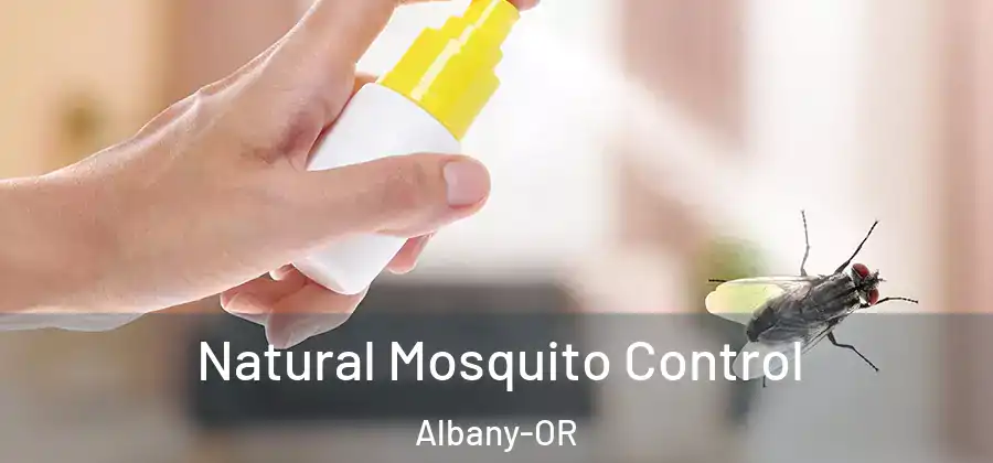 Natural Mosquito Control Albany-OR