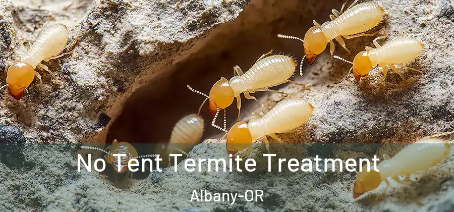 No Tent Termite Treatment Albany-OR