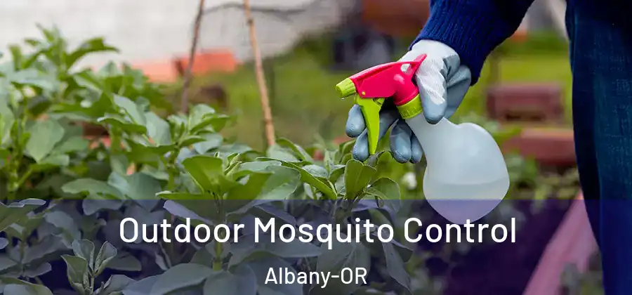 Outdoor Mosquito Control Albany-OR