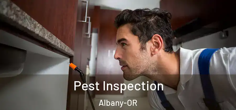  Pest Inspection Albany-OR