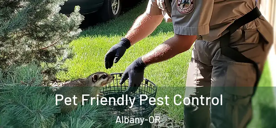  Pet Friendly Pest Control Albany-OR