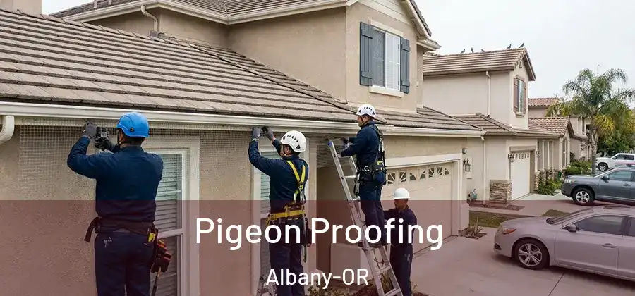  Pigeon Proofing Albany-OR