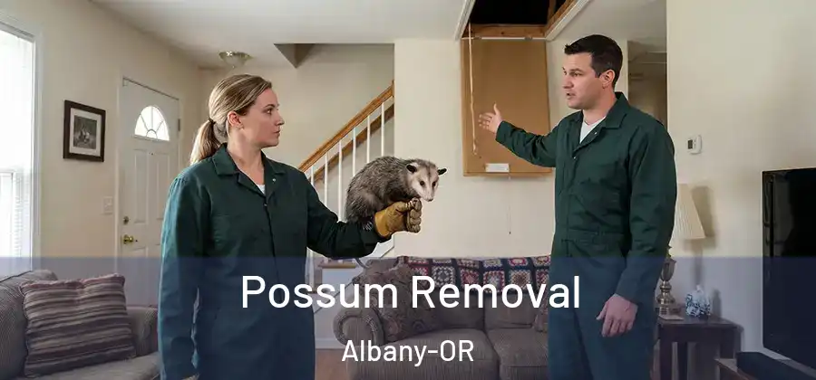  Possum Removal Albany-OR