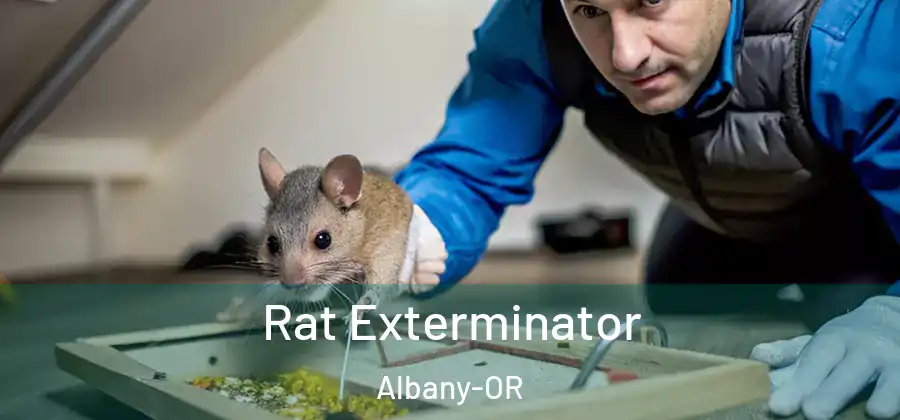  Rat Exterminator Albany-OR