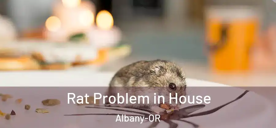  Rat Problem in House Albany-OR