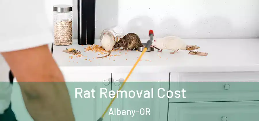  Rat Removal Cost Albany-OR