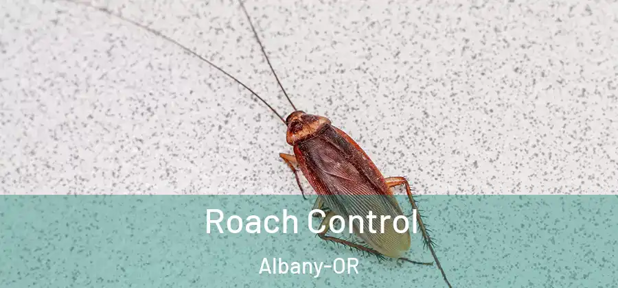  Roach Control Albany-OR