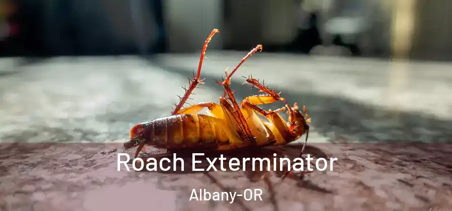  Roach Exterminator Albany-OR