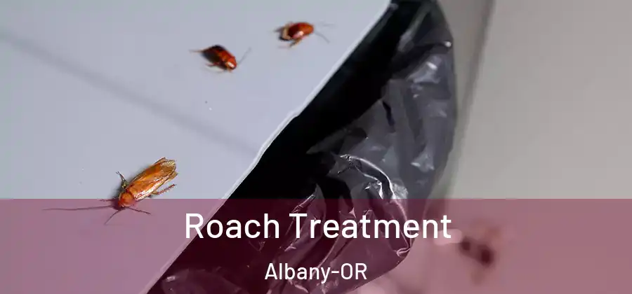  Roach Treatment Albany-OR