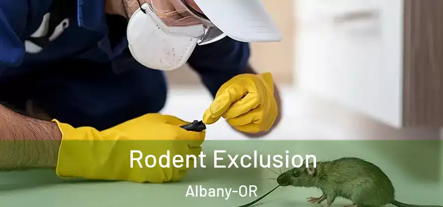  Rodent Exclusion Albany-OR