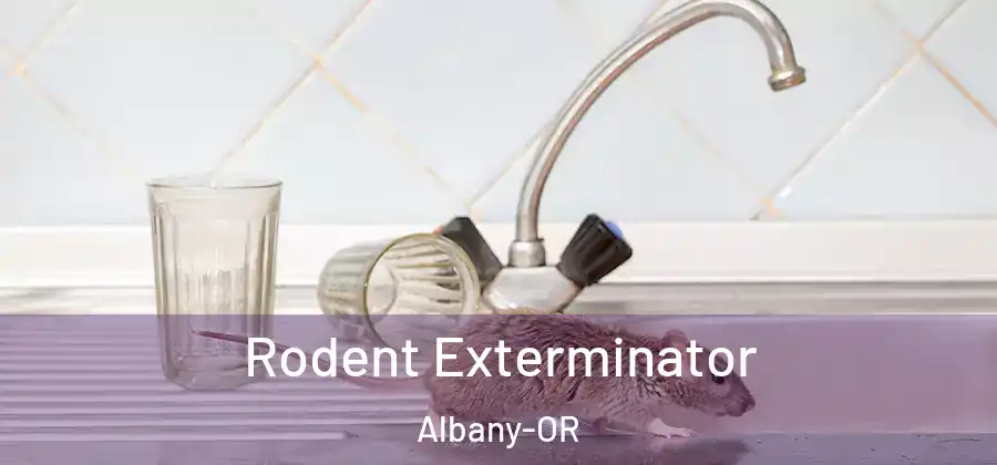  Rodent Exterminator Albany-OR