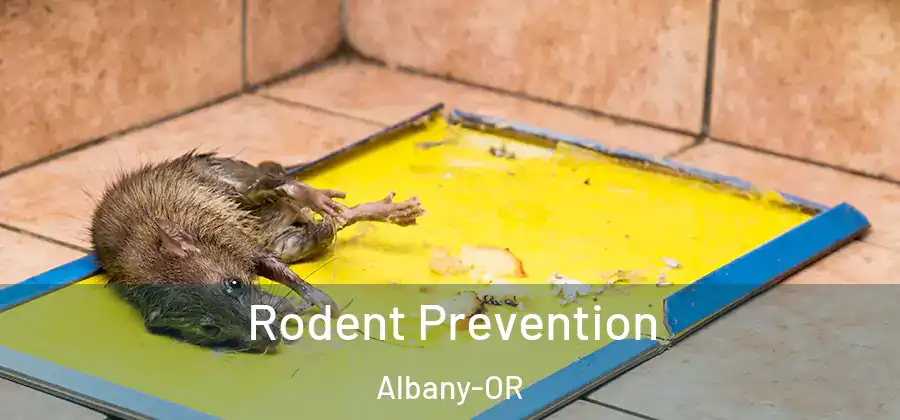  Rodent Prevention Albany-OR