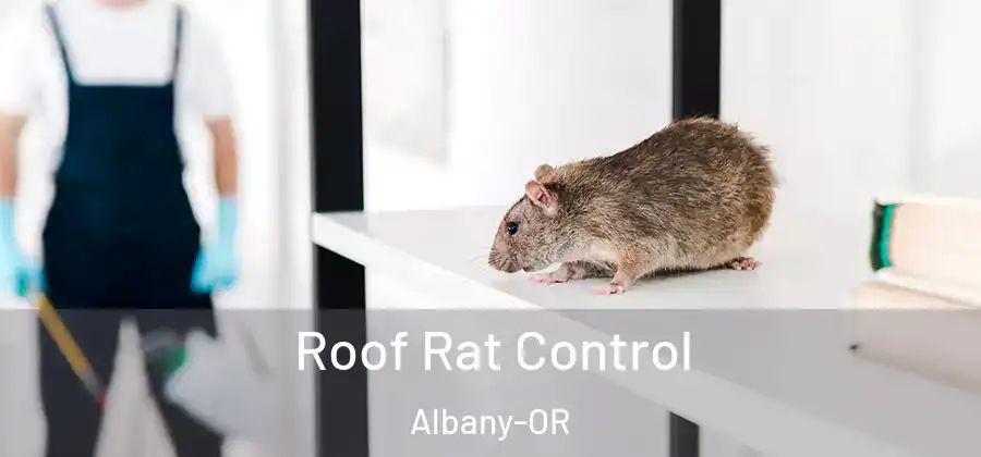  Roof Rat Control Albany-OR