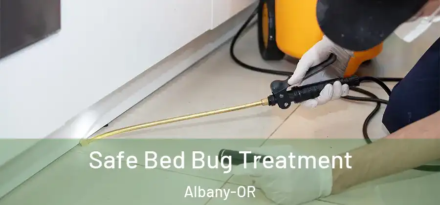  Safe Bed Bug Treatment Albany-OR