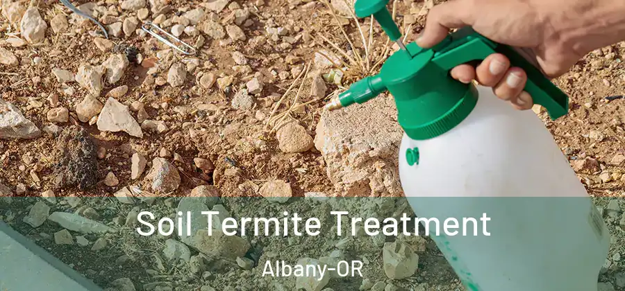 Soil Termite Treatment Albany-OR