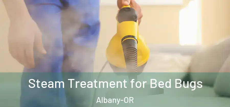  Steam Treatment for Bed Bugs Albany-OR