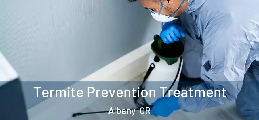 Termite Prevention Treatment Albany-OR