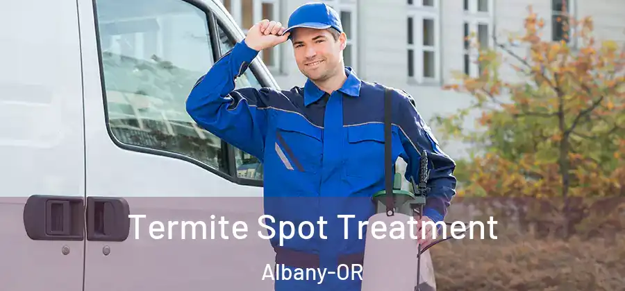  Termite Spot Treatment Albany-OR