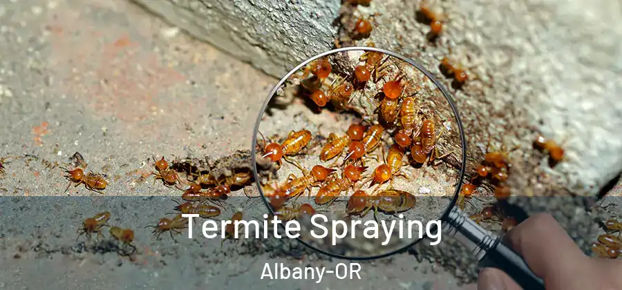 Termite Spraying Albany-OR