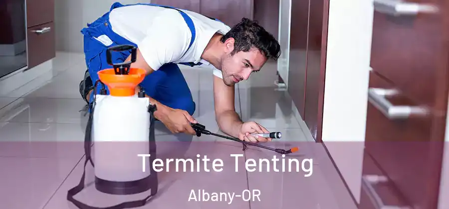 Termite Tenting Albany-OR