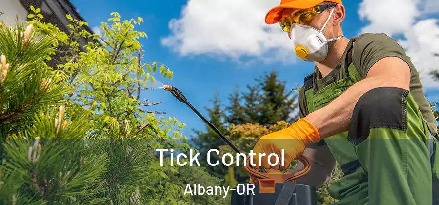 Tick Control Albany-OR