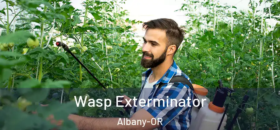 Wasp Exterminator Albany-OR