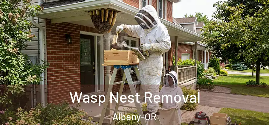 Wasp Nest Removal Albany-OR