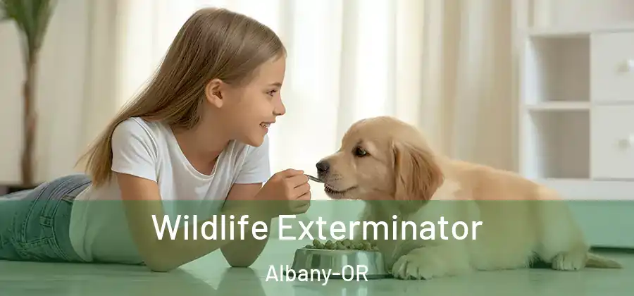  Wildlife Exterminator Albany-OR