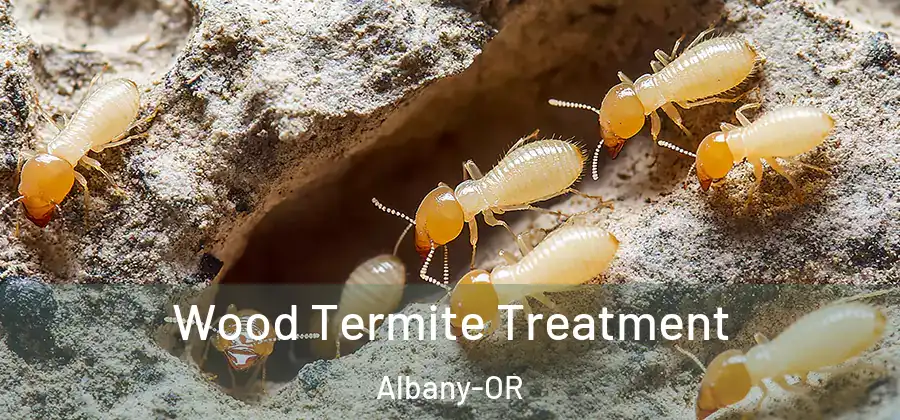 Wood Termite Treatment Albany-OR