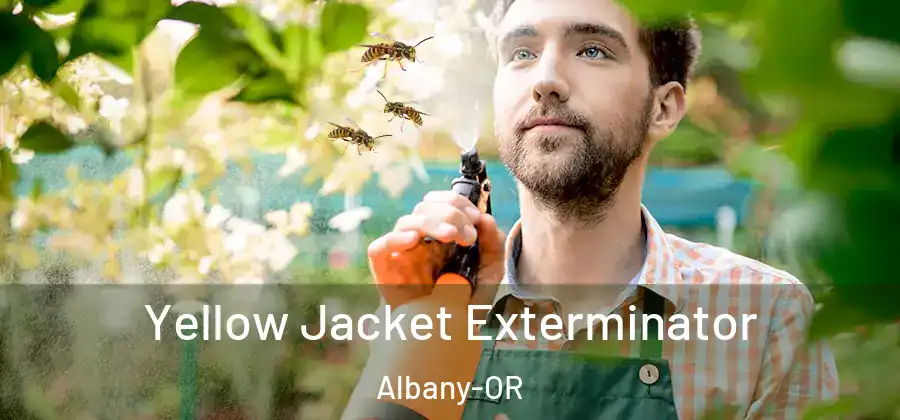  Yellow Jacket Exterminator Albany-OR